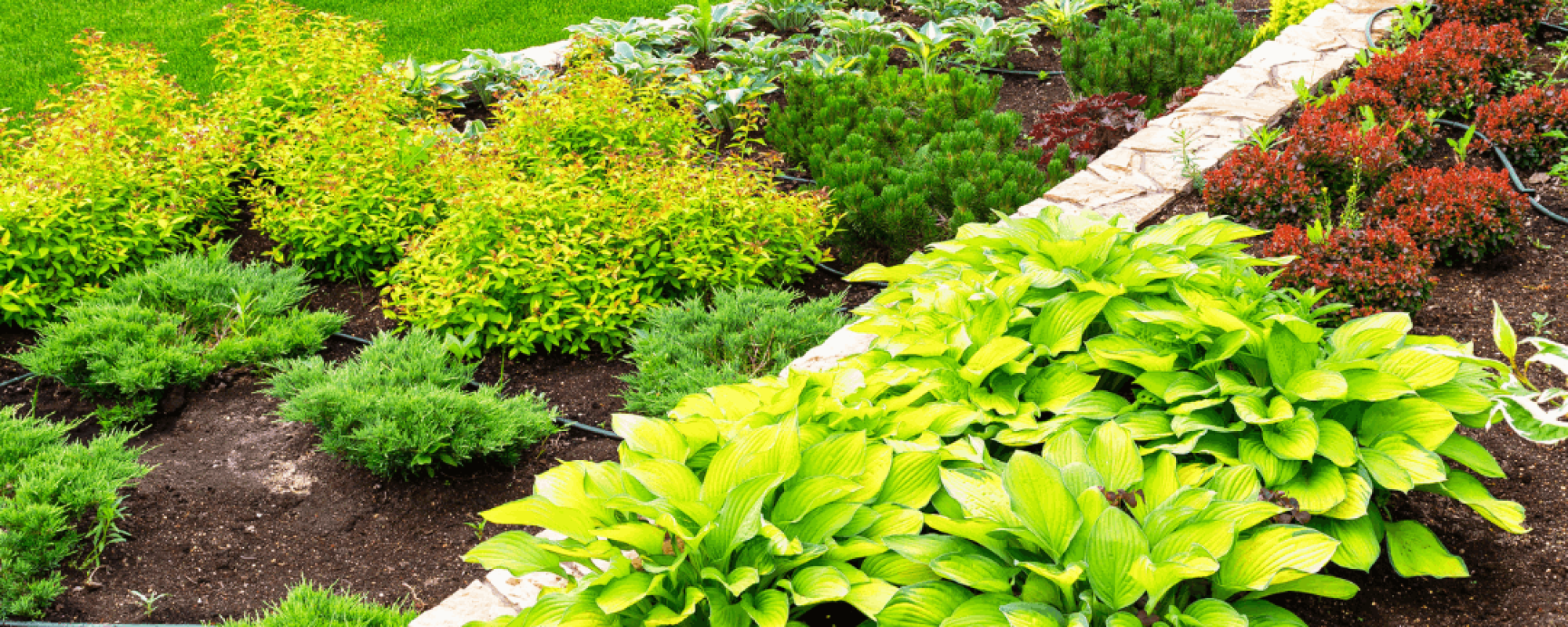 jardin paysager – aménagement extérieur (30) jardin paysager - aménagement extérieur (30)
