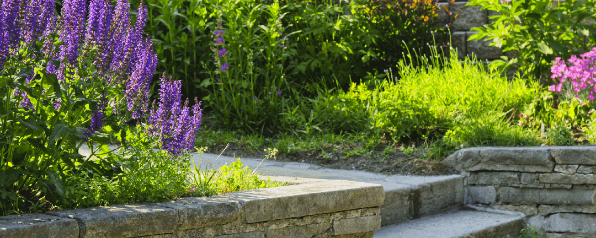 jardin paysager - aménagement extérieur (7)