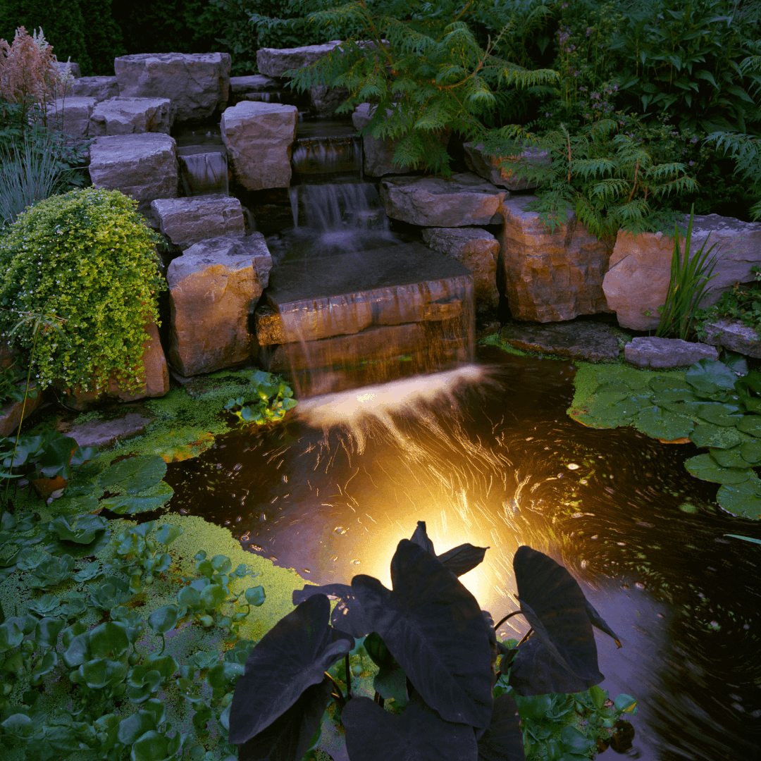 fontaine jardin éclairage - aménagement extérieur