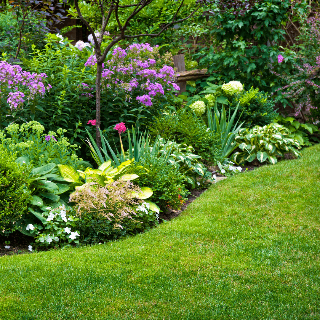 jardin paysager - aménagement extérieur (25)